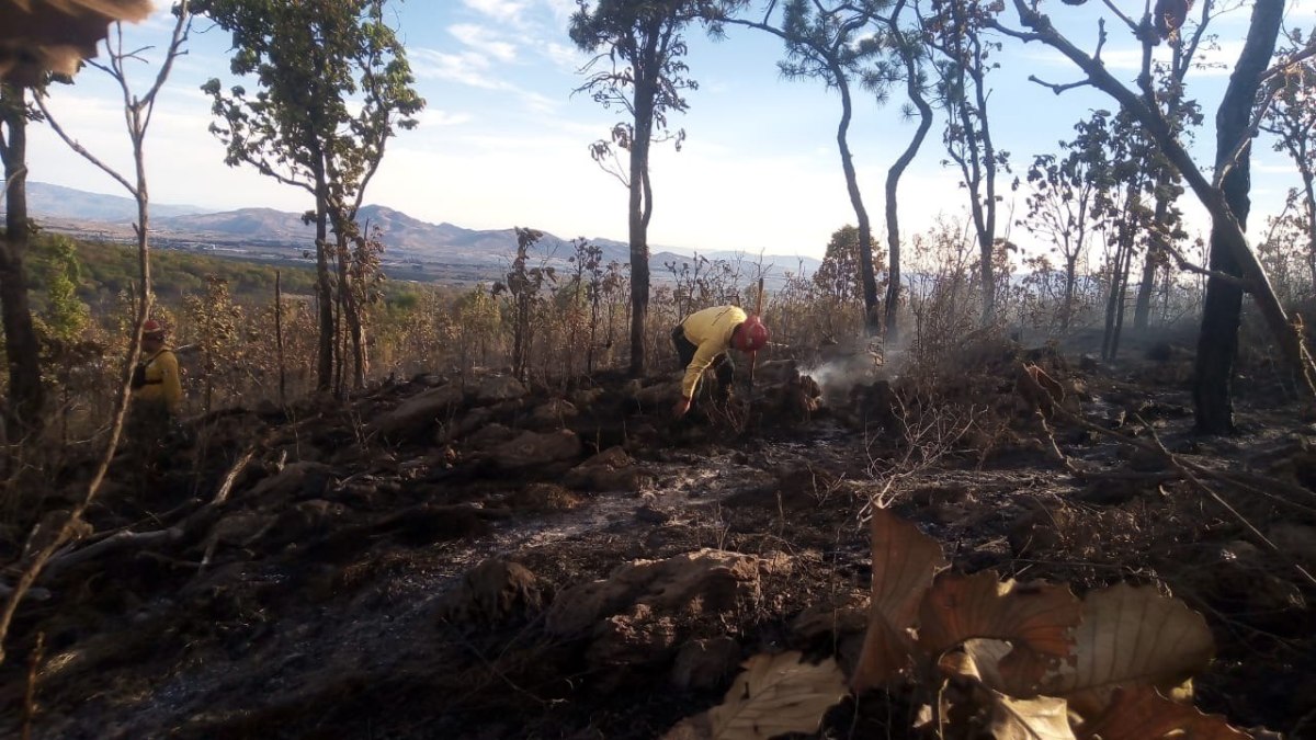 Desactivada la Alerta Atmosférica en Zapopan tras Extinción de Incendio Forestal