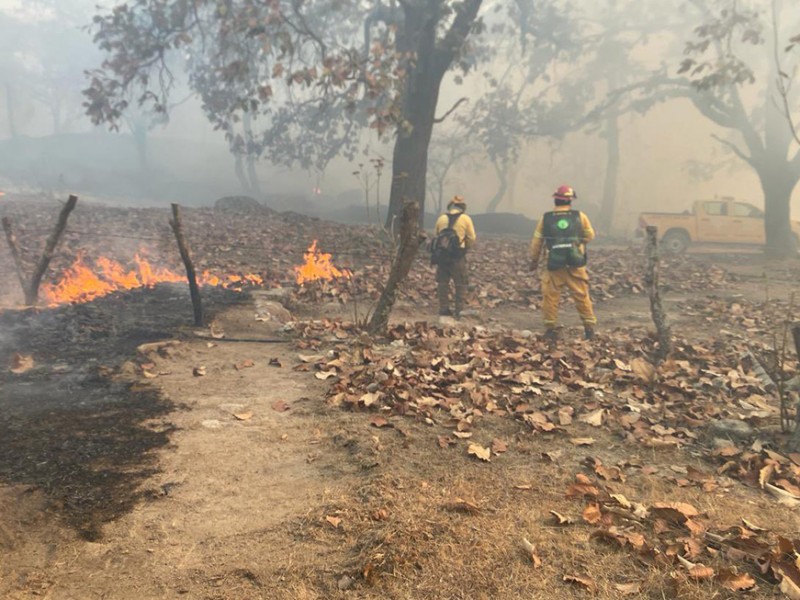 Incendio forestal en Área Natural Protegida activa Alerta Atmosférica en Zapopan