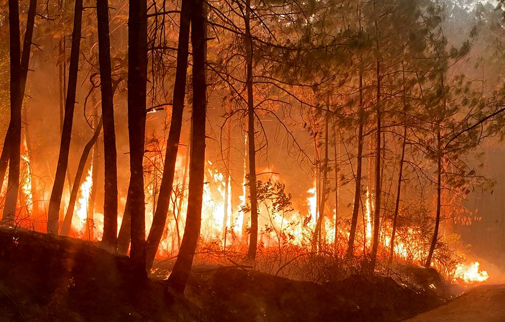Incendio Forestal amenaza Mazamitla: Autoridades luchan contra las llamas